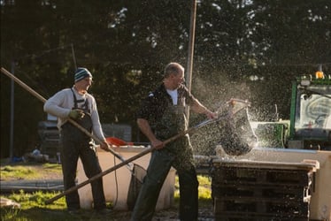 Thrings Eats…&nbsp;ChalkStream Trout