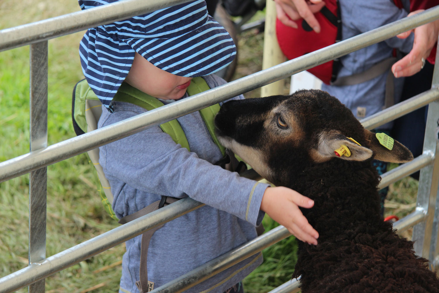 Thrings Eats…Countryside Education Trust