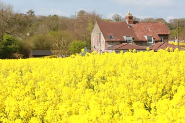 Farmers Weekly Business Clinic: can we register land if deeds are mislaid?