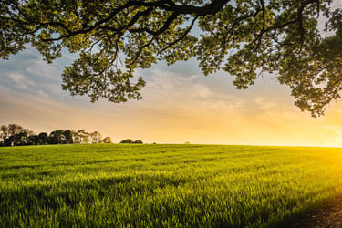Farmers weekly Business Clinic: Advice on pollution interview under caution