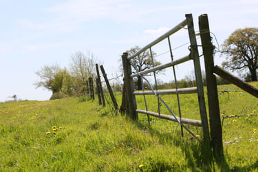 Farmers Weekly Business Clinic: Lost land, boundaries and development