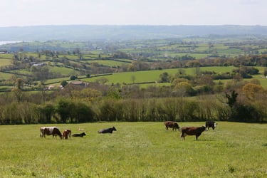 Farmers Weekly Business Clinic: can partners break land sale stalemate?