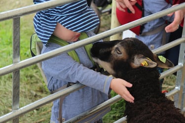 Thrings Eats with…Jane Cooper, Countryside Education Trust