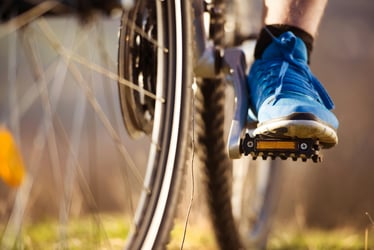 Co-existence agreements: Lessons from Clarks v Trek