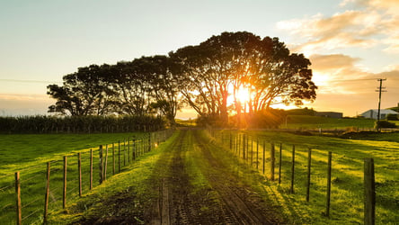 Navigating surprise EA visits to your farm