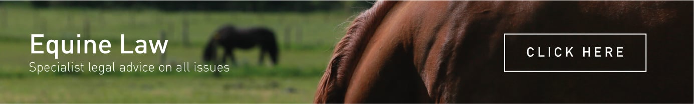 Equine_banner