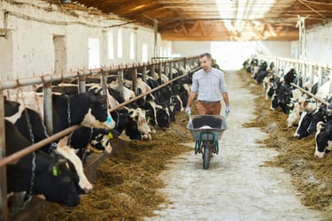 Government publishes detail on changes to farming inheritance tax relief