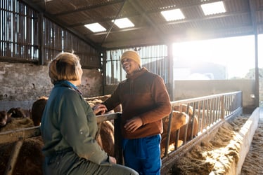 Farmers Weekly Business Clinic: Formalising accommodation for farm workers