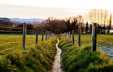 Farmers Weekly Business Clinic: Bringing forward claims over sewage contamination