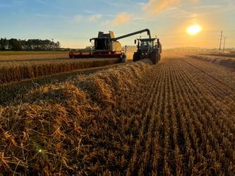 Farming 25-year roadmap unveiled by government