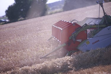 New payment plans for farmers provide clarity over government sustainability incentives