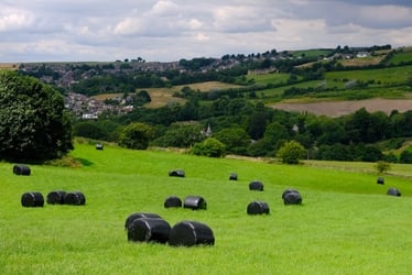How can farmers navigate environmental regulation without losing viability?