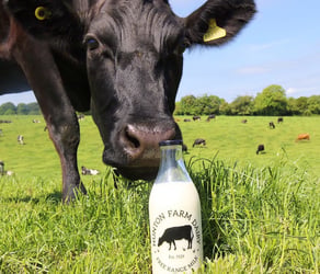 THRINGS EATS WITH…SIMON AND JOHN MARTIN, NUNTON FARM