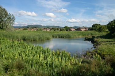 New Biodiversity Net Gain exemptions published