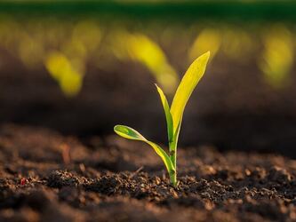 Beyond compliance: Regenerative farming and the legal landscape