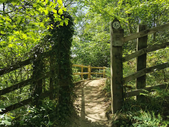 Application deadline for public rights of way scrapped by government