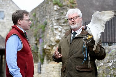 Thrings Meets… Amews Falconry