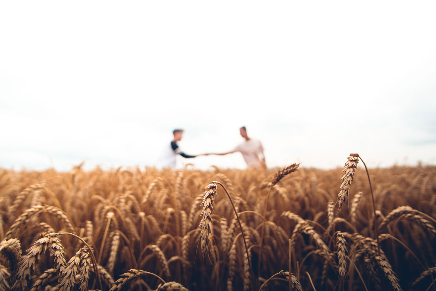 Setting boundaries – advice for Farmers on avoiding Adverse Possession claim