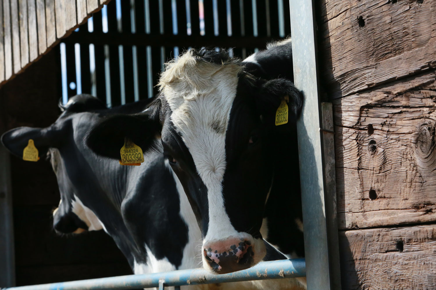 Thrings’ annual Agriculture Seminar returns