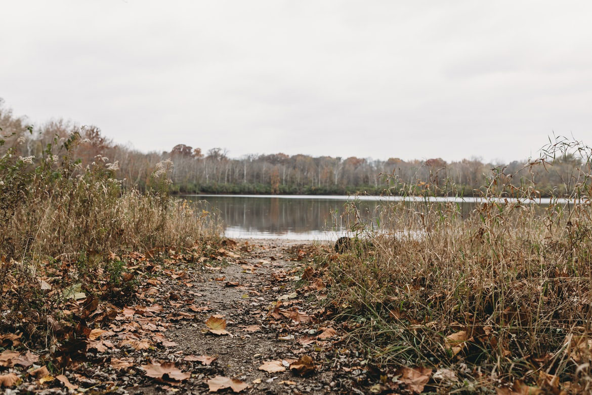 Developers and landowners to benefit from Government’s softening on nutrient neutrality
