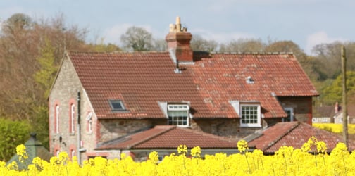 The future of your farm: a guide to agricultural succession planning