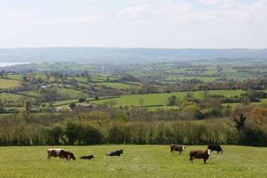 Farmers Weekly Business Clinic: neighbour restricting our right of way