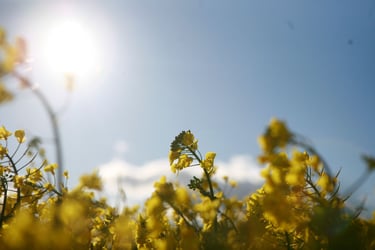 Family farming matters