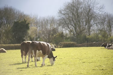 Farmers Weekly Business Clinic: how can we regain possession of inherited land?