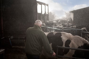 The agricultural red tape entangling farmers