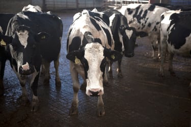 Business health matters: Agriculture