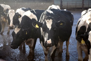Has agriculture ever faced such an uncertain future?