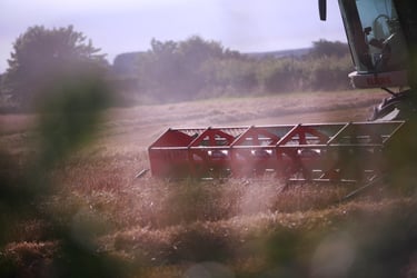 COP26 and farming in an uncertain future