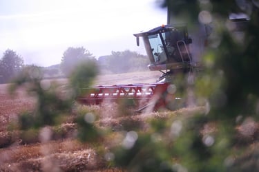 WHY A BACK BRITISH FARMING CAMPAIGN IS SPEAKING UP FOR FOOD PRODUCERS IN CHALLENGING TIMES