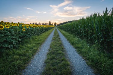 Thrings Farms: Can court force farm sale in divorce proceedings?