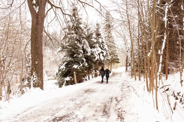 Walking in a winter wonderland? It’s important for landowners to know their rights
