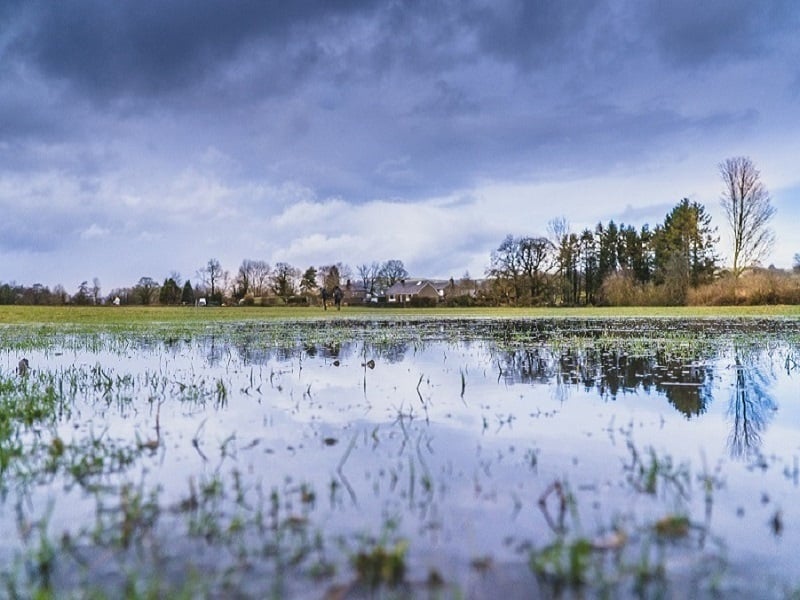flood in a field