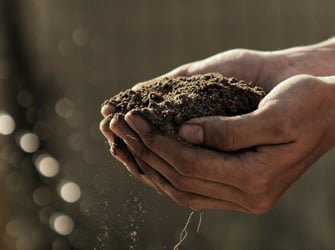 Phosphates, nitrates and nutrient neutrality – What developers need to know