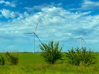 What the Environmental Improvement Plan means for farmers and landowners