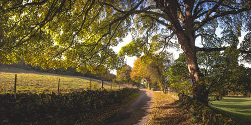 Farmers Weekly Business Clinic: does intended new development have right of way access?