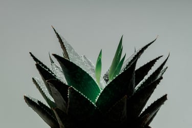 Why green is good when it comes to development finance