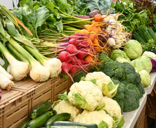 Government’s food strategy is hard to swallow for farmers union
