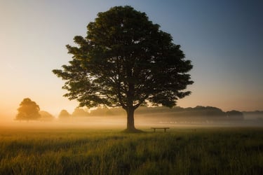 Avoid getting cut by TPO restrictions