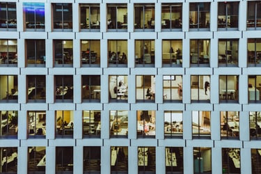 Surviving and thriving – growing your business in turbulent times