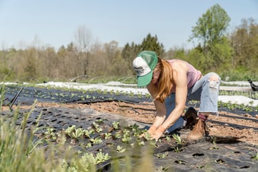 Farmers Weekly Business Clinic: should overtime form part of my holiday pay calculation?