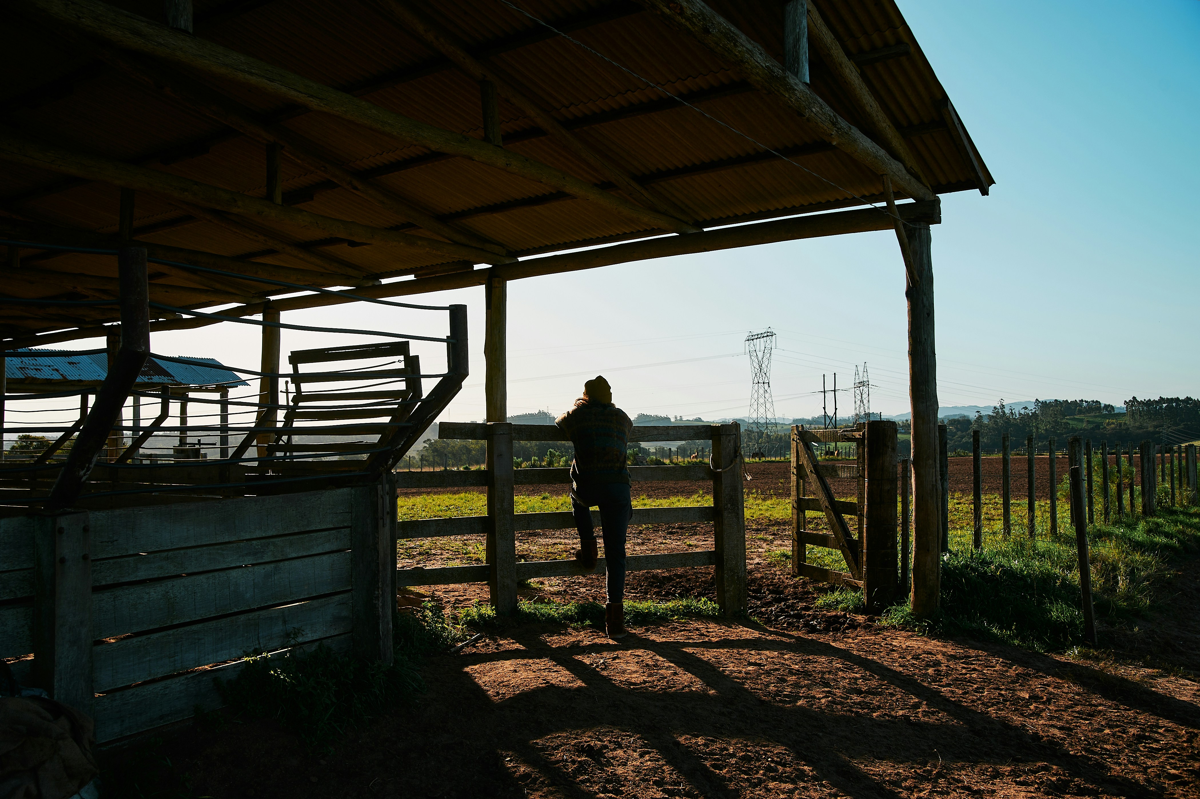 Person Looking Across Field From Fence