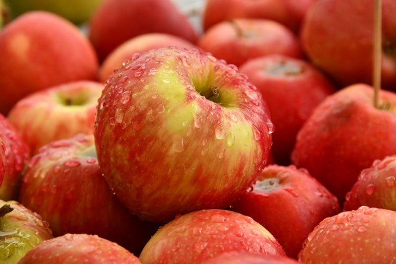 Intellectual property in the apple farming market