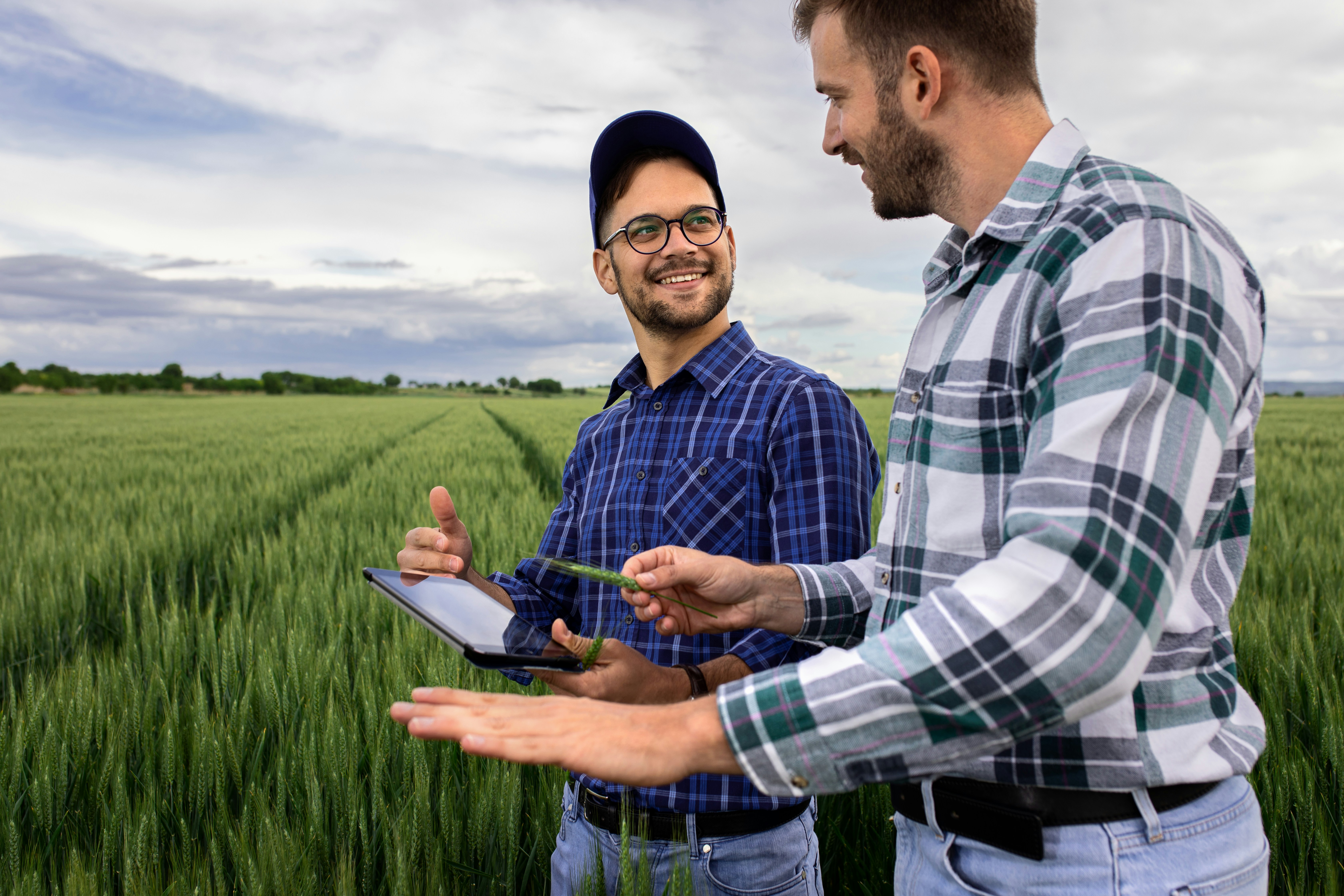 Two men in field with tablet