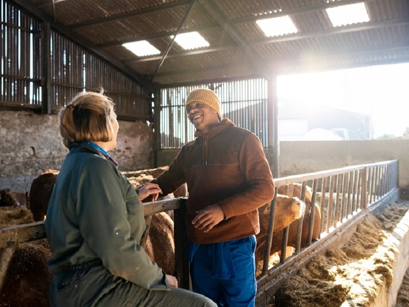 Farmers Weekly Business Clinic - Formalising accommodation for farm workers - T Farms
