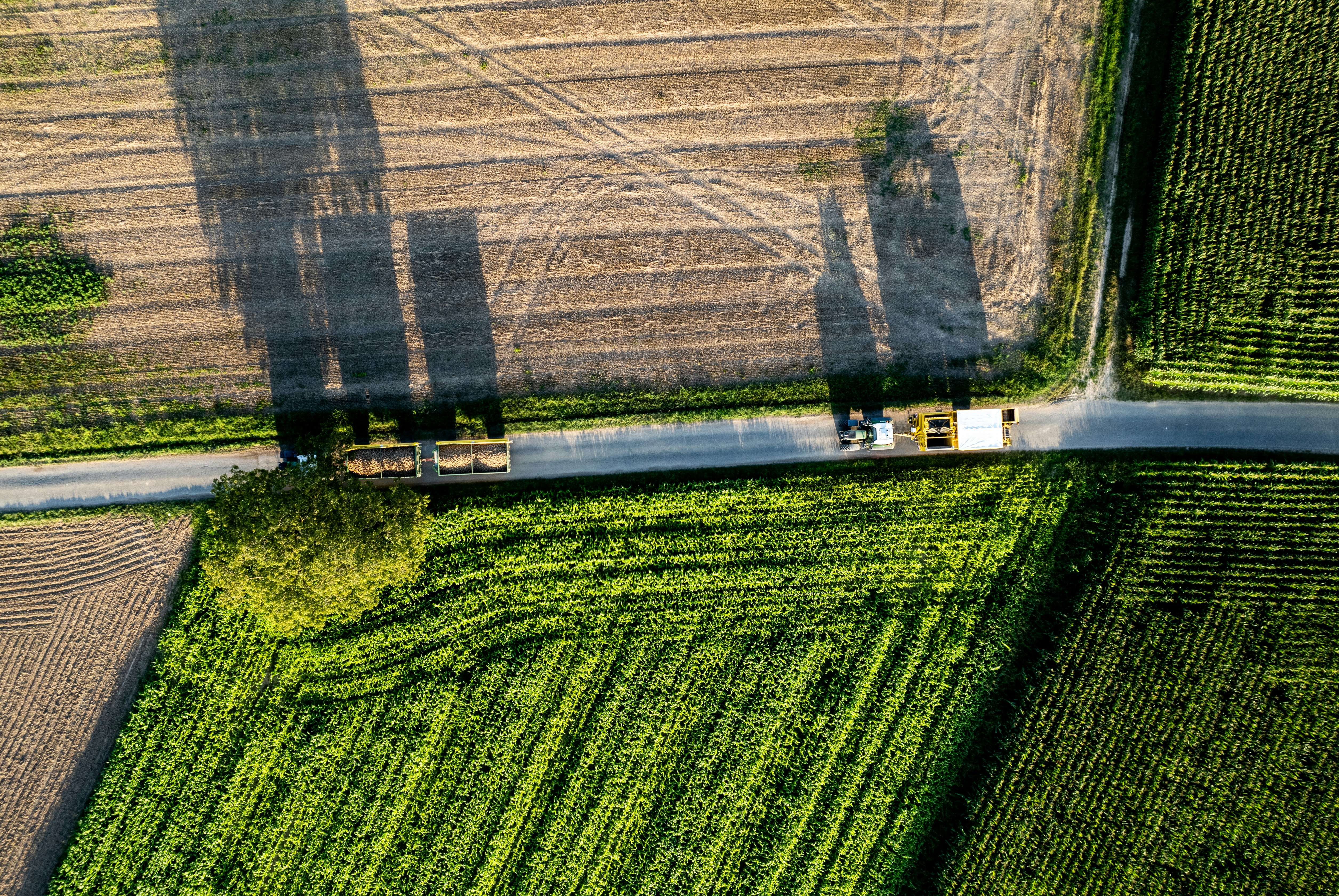 Birds eye view of tractors driving between fields