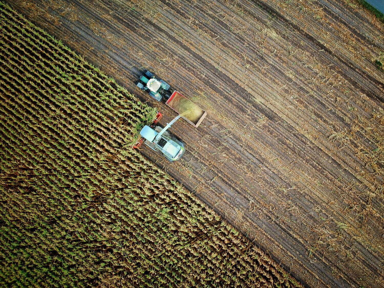 Government caps six sustainable farming actions to protect food production